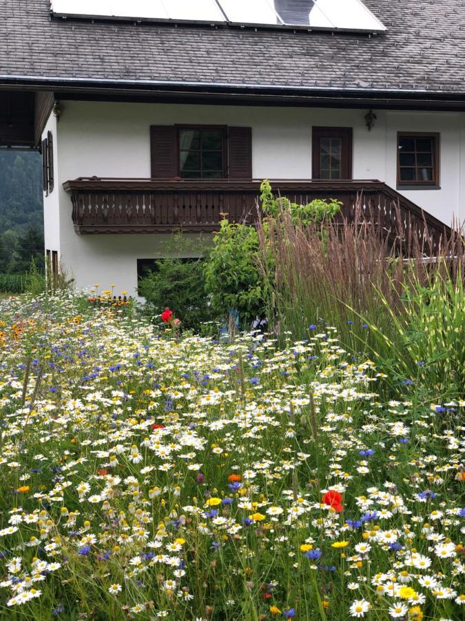 Ferienwohnung Lassendorf Hermagor-Pressegger See Esterno foto