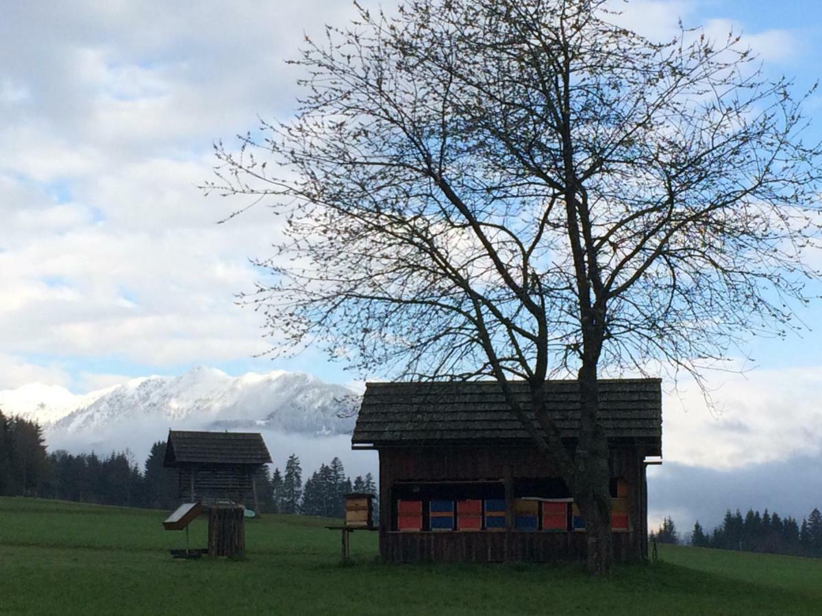 Ferienwohnung Lassendorf Hermagor-Pressegger See Esterno foto